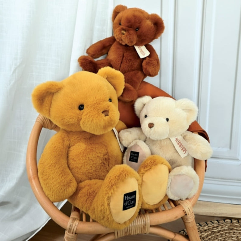 Histoire d'Ours