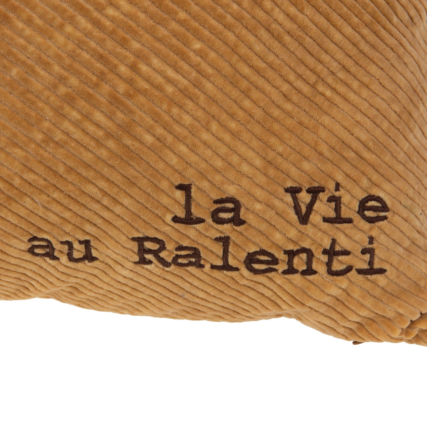 הכיתוב la Vie au Ralenti על בד חום מרקמי