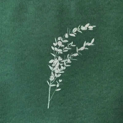 מפיות Eucalyptus מבית Françoise Paviot