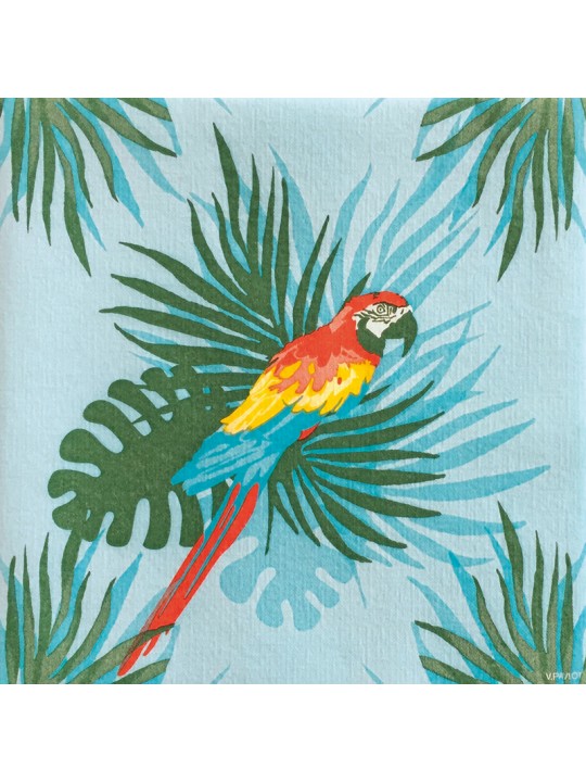 מפיות אל-בד