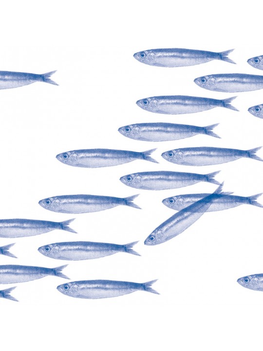 מפיות אל-בד